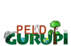 Seminário do Programa de Pesquisa Ecológica de Longa Duração na Reserva Biológica do Gurupi (PELD Gurupi)