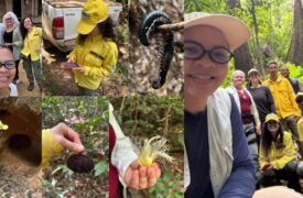 Uma sala de aula no meio da Amazônia: conheça a Trilha do Jatobá, na REBIO Gurupi